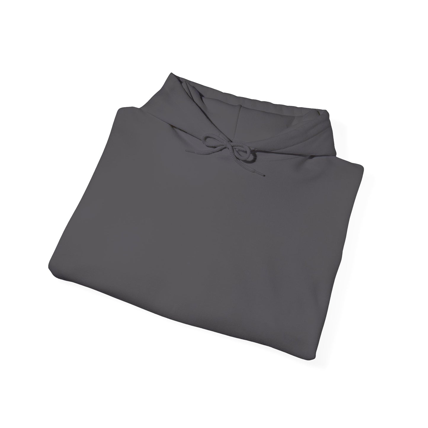 “View Point” Hoodie- Sleeve Print Affirmation