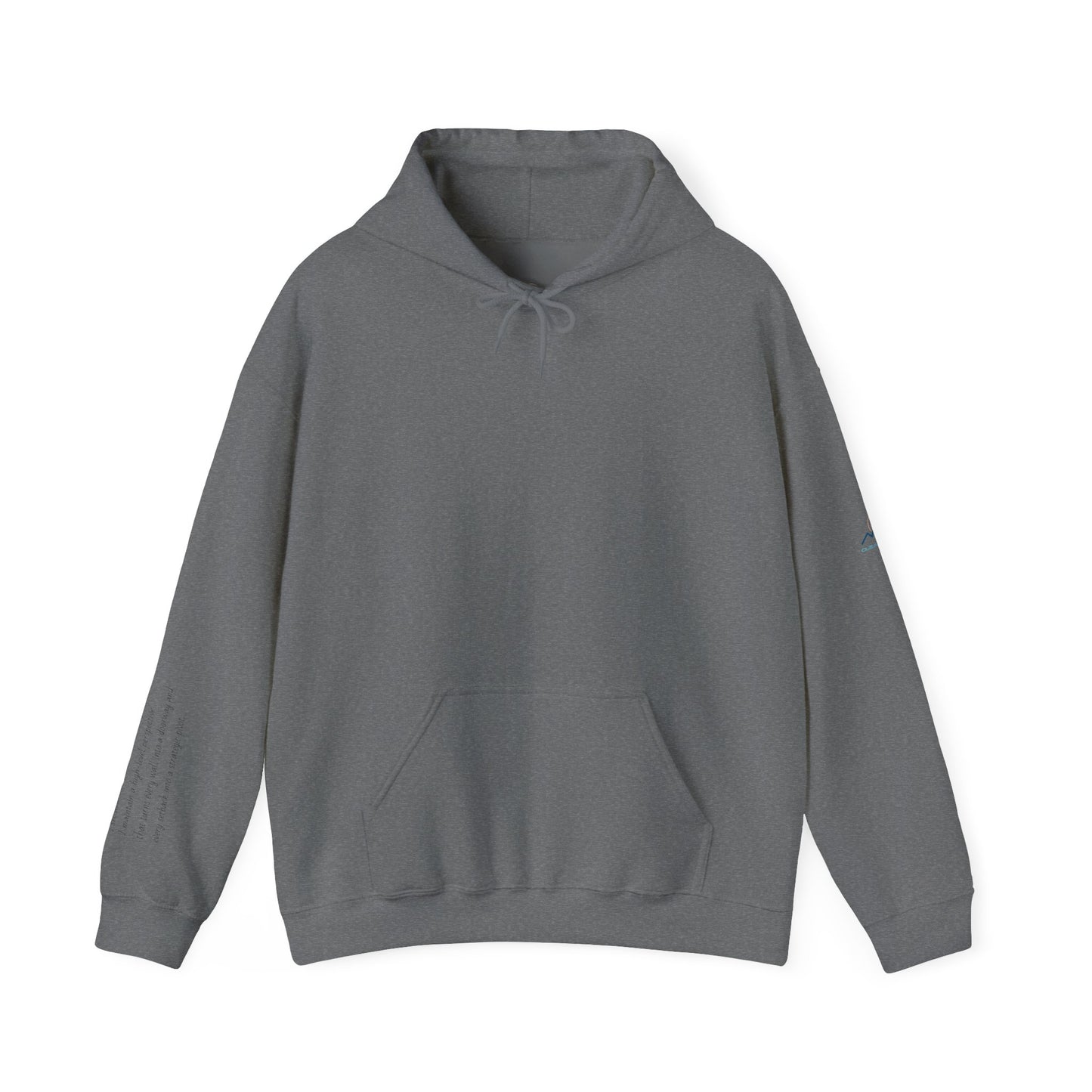 “View Point” Hoodie- Sleeve Print Affirmation