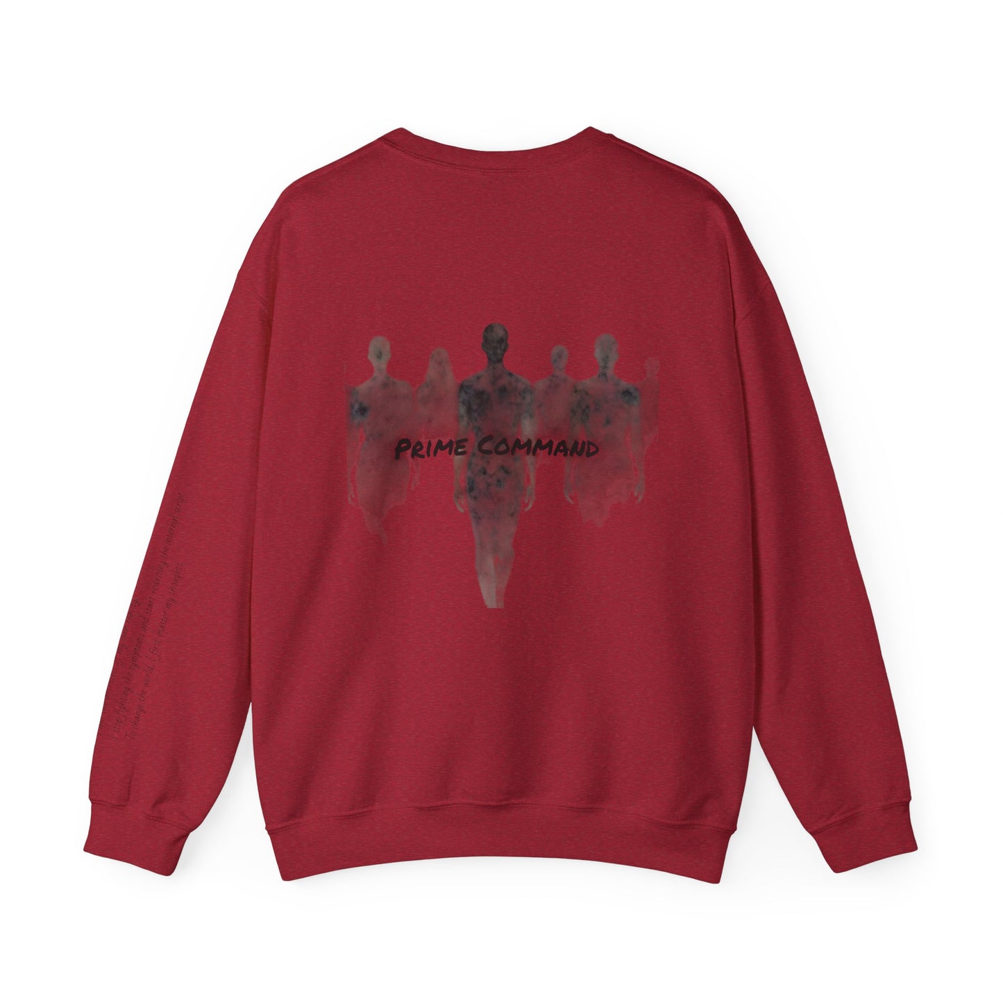 “Prime Command” Hoodie- Sleeve Print Affirmation