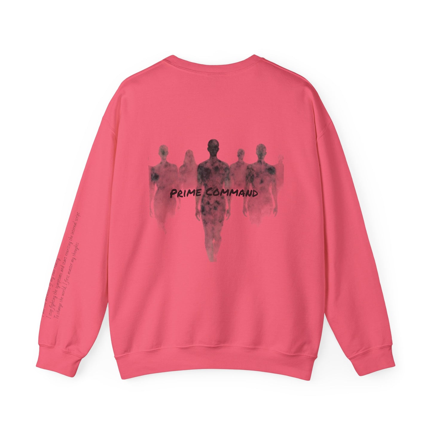 “Prime Command” Hoodie- Sleeve Print Affirmation