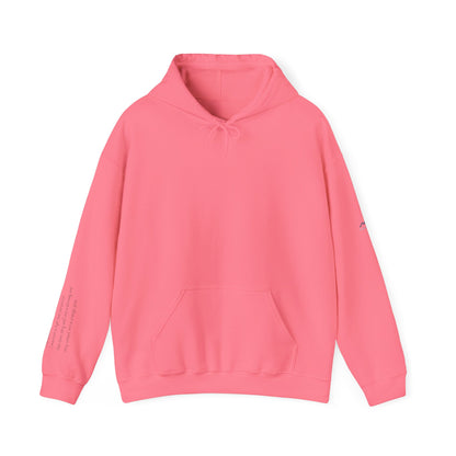 “View Point” Hoodie- Sleeve Print Affirmation