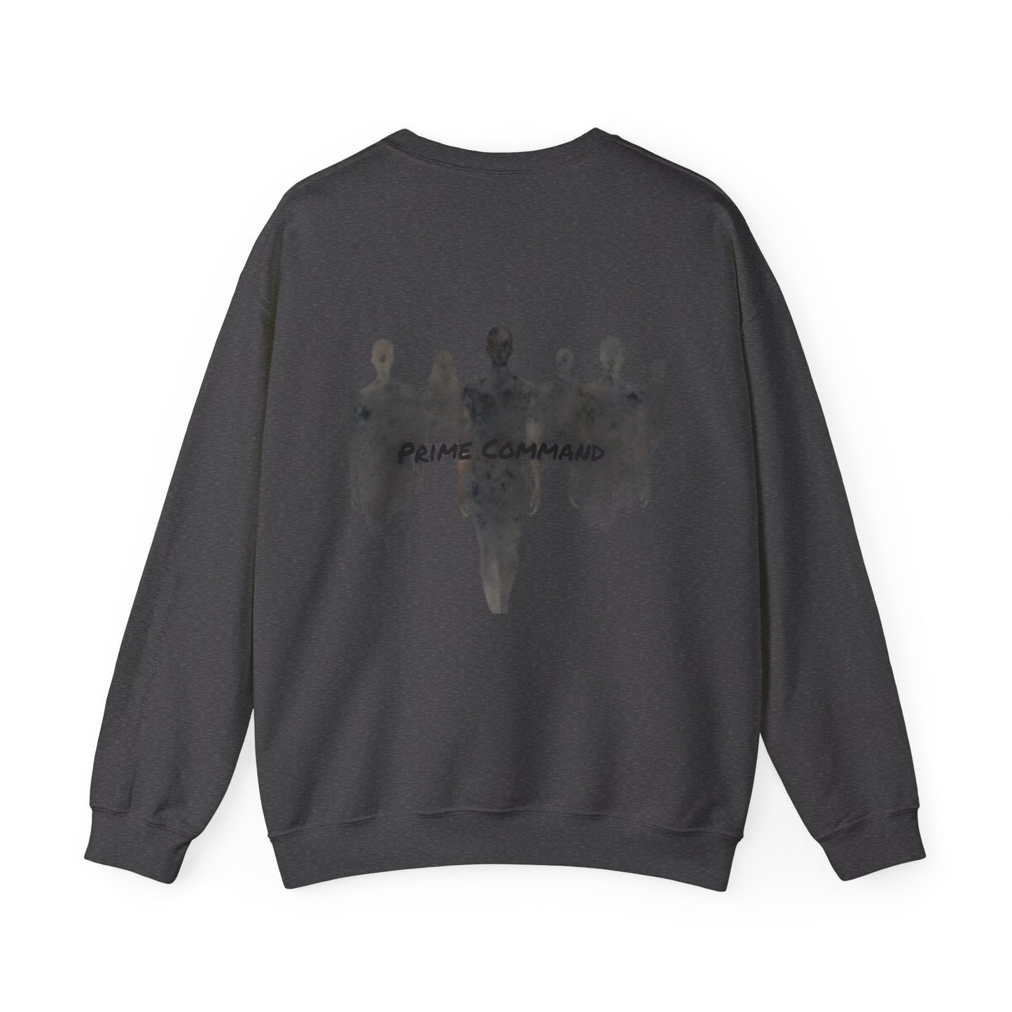 “Prime Command” Hoodie- Sleeve Print Affirmation