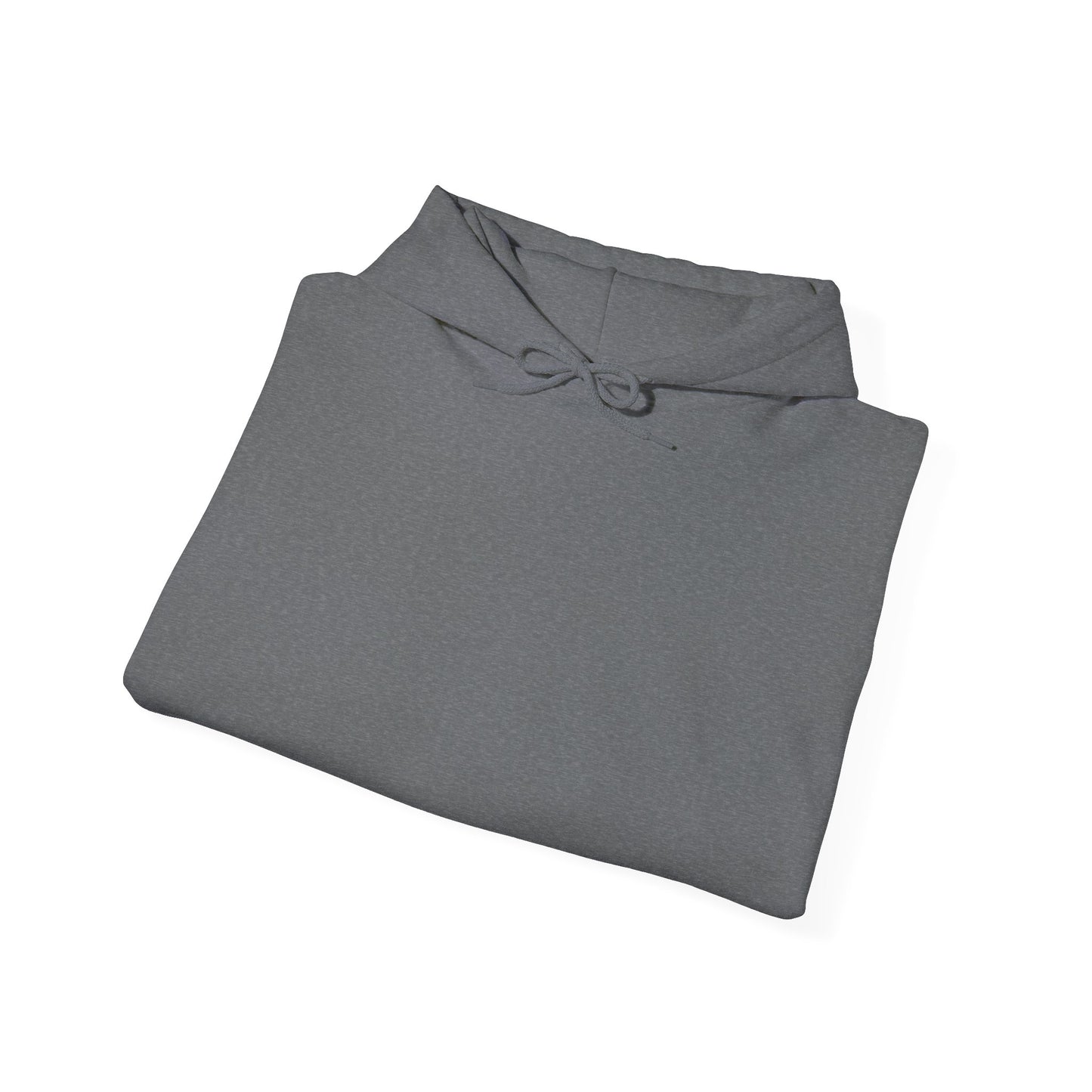“View Point” Hoodie- Sleeve Print Affirmation